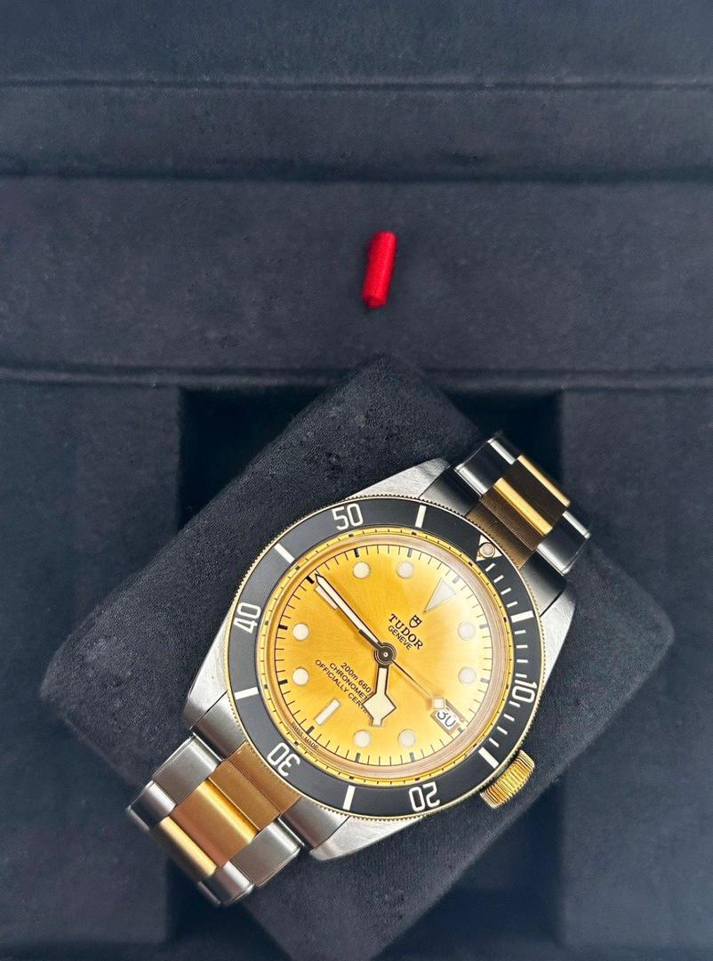 TUDOR Black Bay S&G 79733N - Acier/Cadran Champagne Or – Image 3