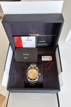 Montre TUDOR Black Bay S&G 41 mm, ensemble complet. Excellent état.