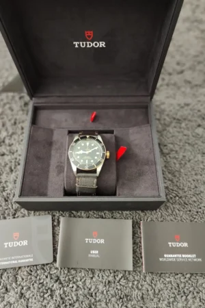 Tudor Black Bay 41 mm Acier et Or sur Bracelet | 79733N | 18 janvier 2022.