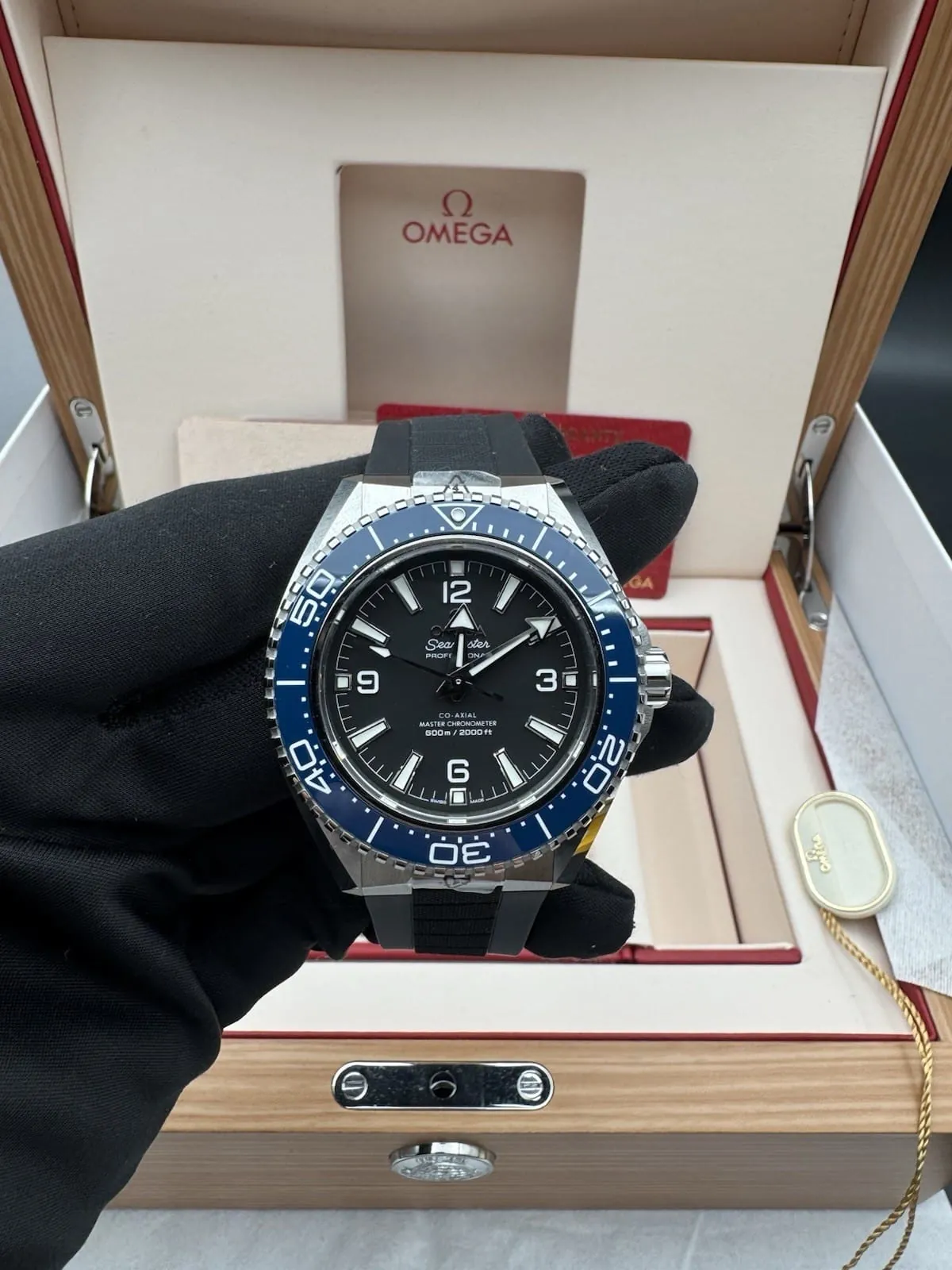 Omega Seamaster Planet Ocean 600m Bleu 42mm 2026 217.32.42.21.01.002 Caoutchouc