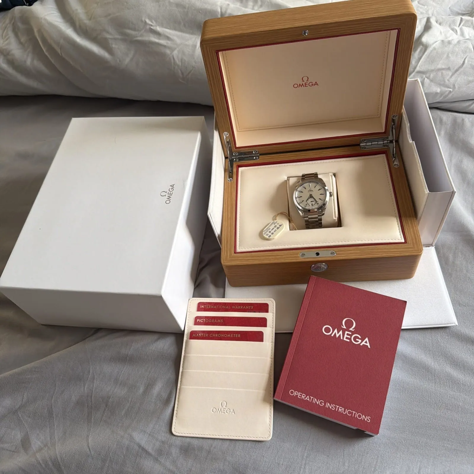 Montre Omega Seamaster Aqua Terra 41 mm – Image 9